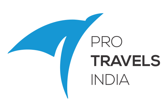 Pro-Travels-Logo